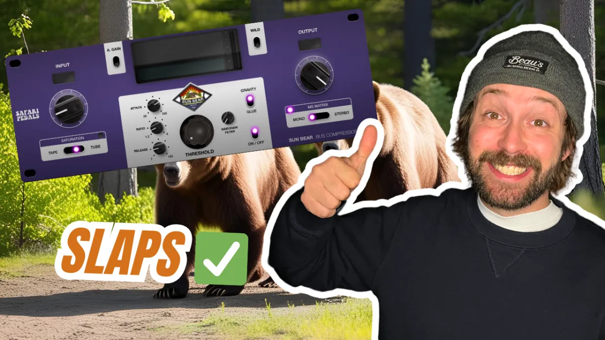 *NEW* Sun Bear Bus Comp by Safari Pedals | it slaps ✅