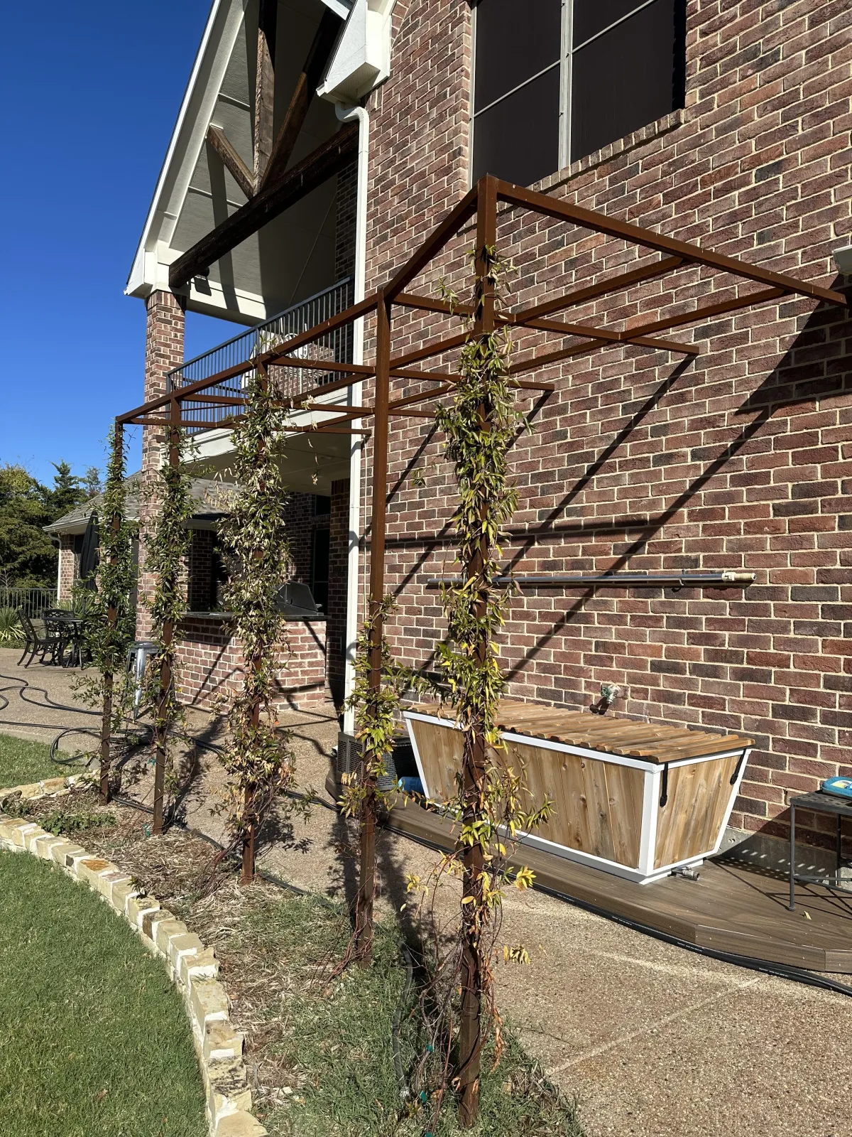 Steel trellis frame for climbing vines — residential backyard.