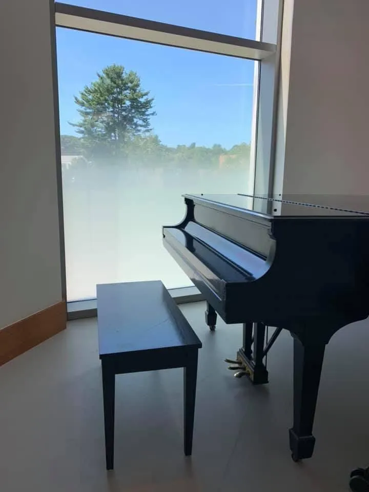decorative window films for homes