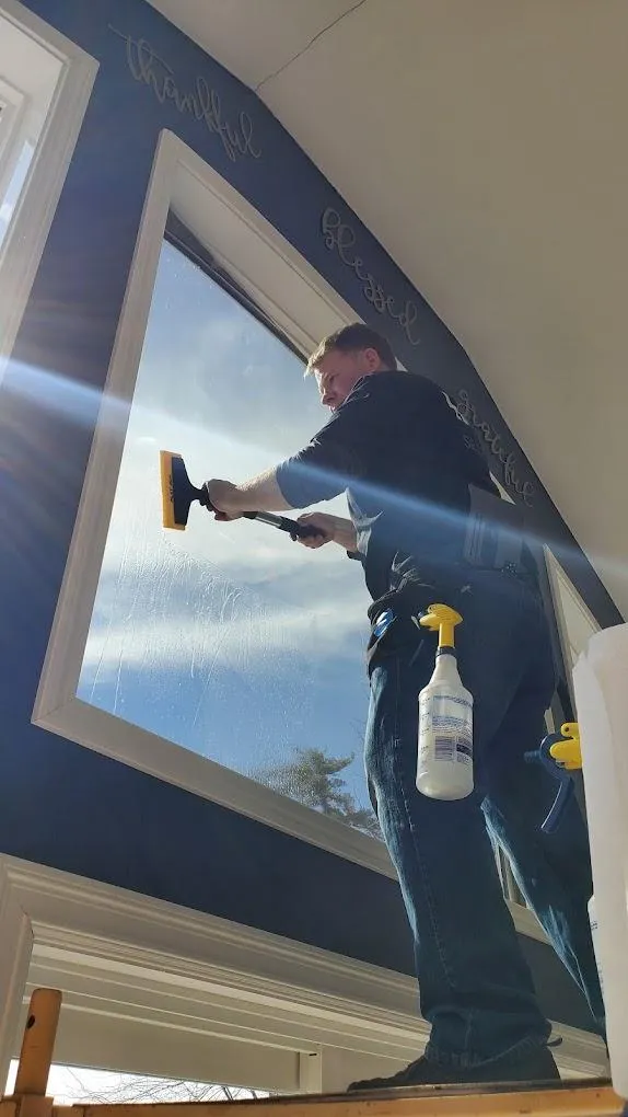 window tint for homes