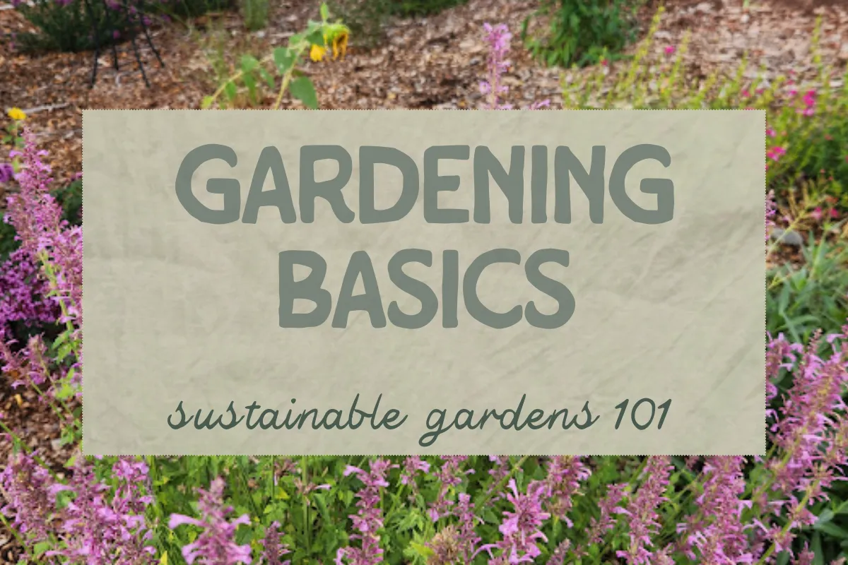 Sustainable Gardening in the Mountains