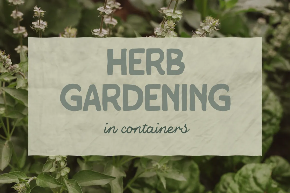 Herb Gardening