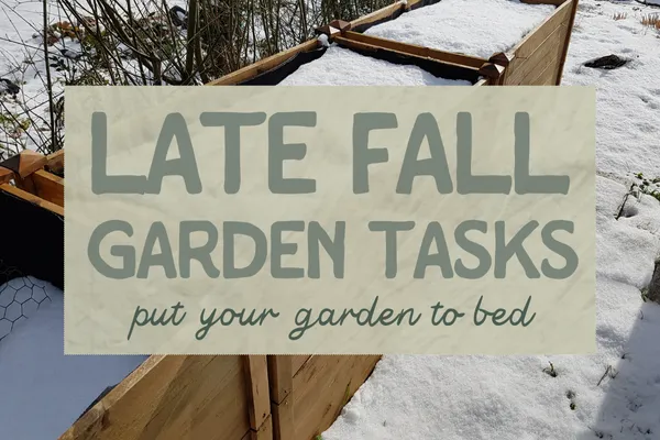 Late Fall Garden Tasks