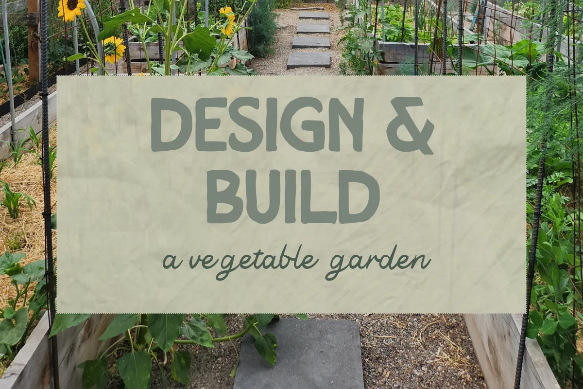 Garden Design & Build – Veg