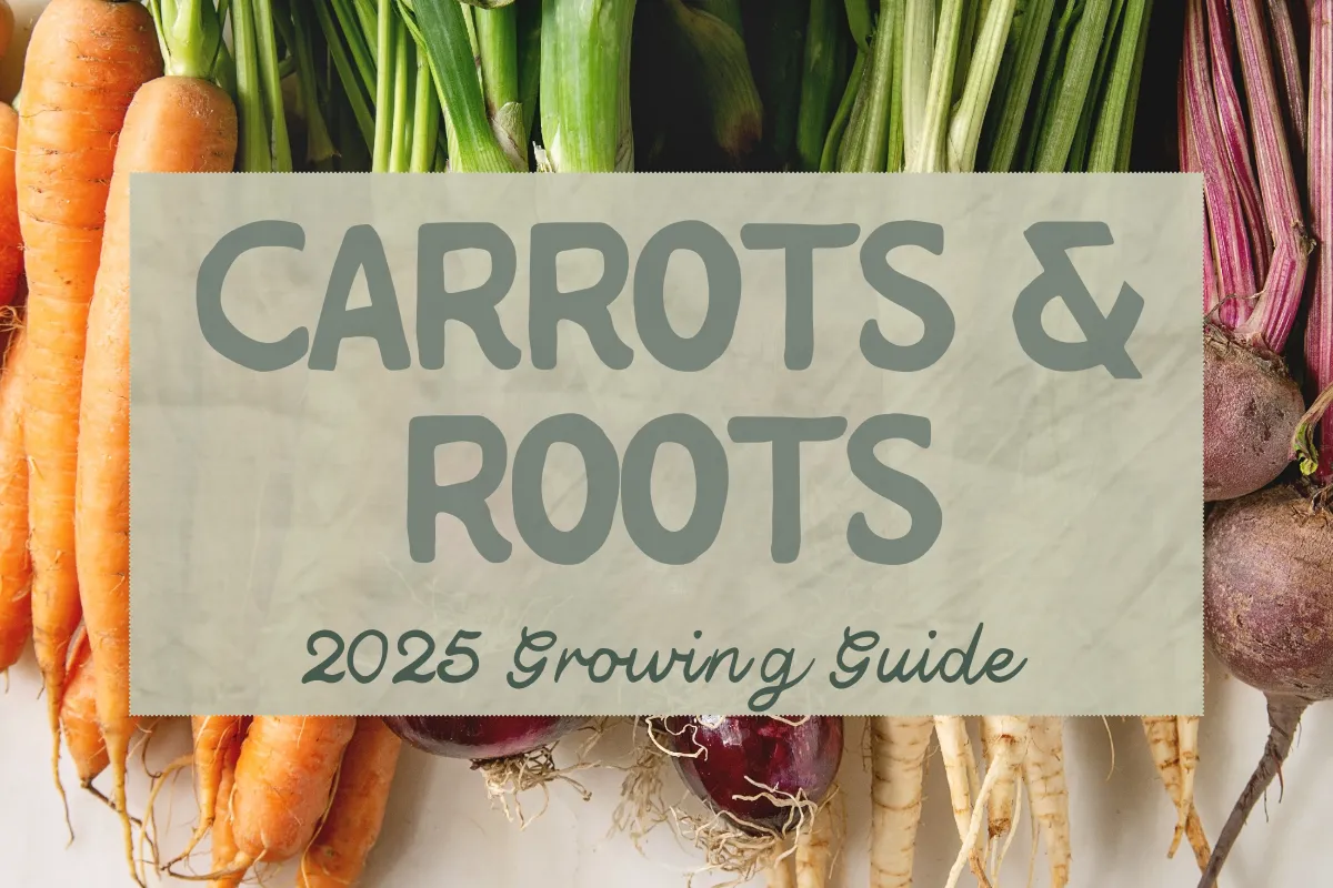 A rustic wooden basket filled with colorful root vegetables—carrots, beets, and radishes—set on freshly dug soil with gardening tools nearby