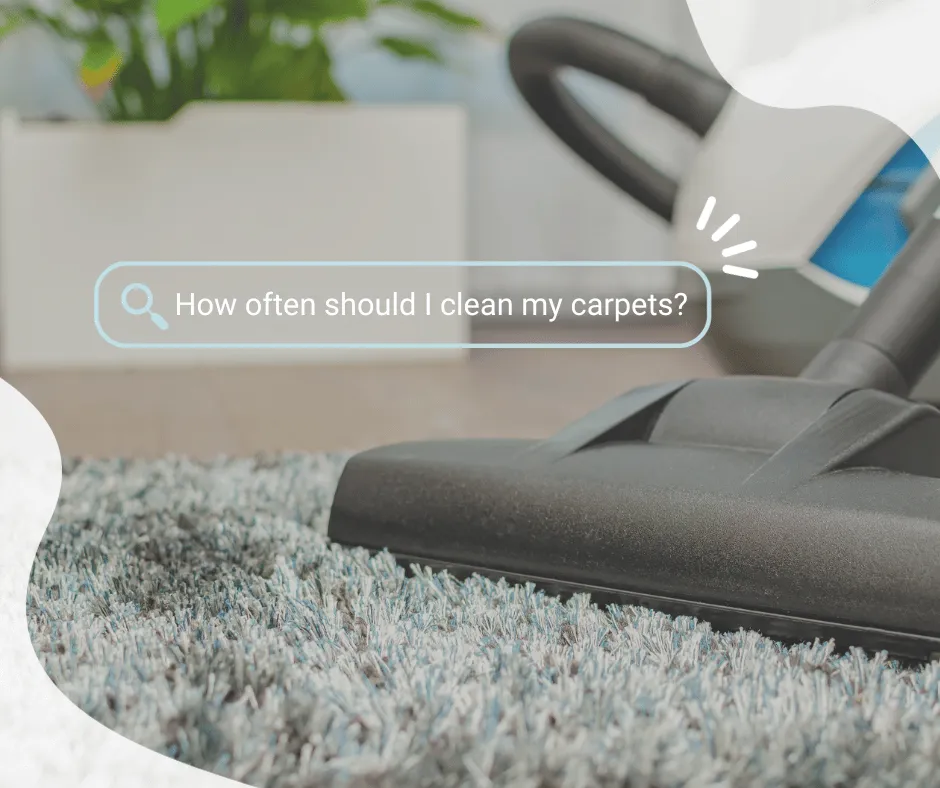 how often should i clean my carpets over vacuum cleaning area rug