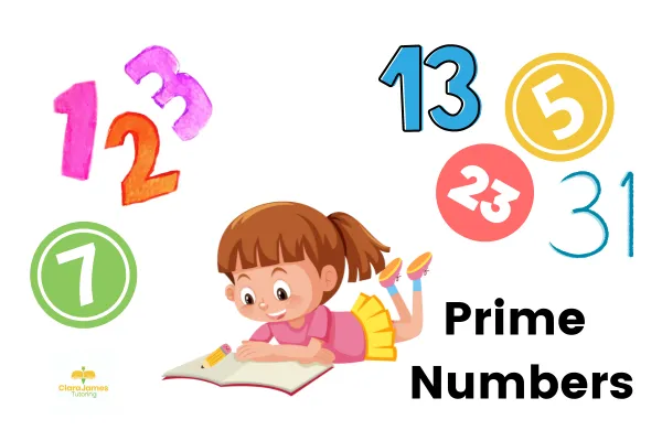 Calculating the prime numbers