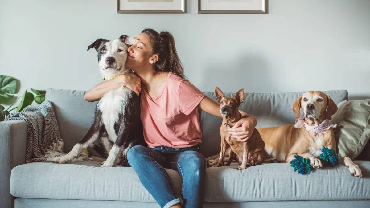 loving dogs