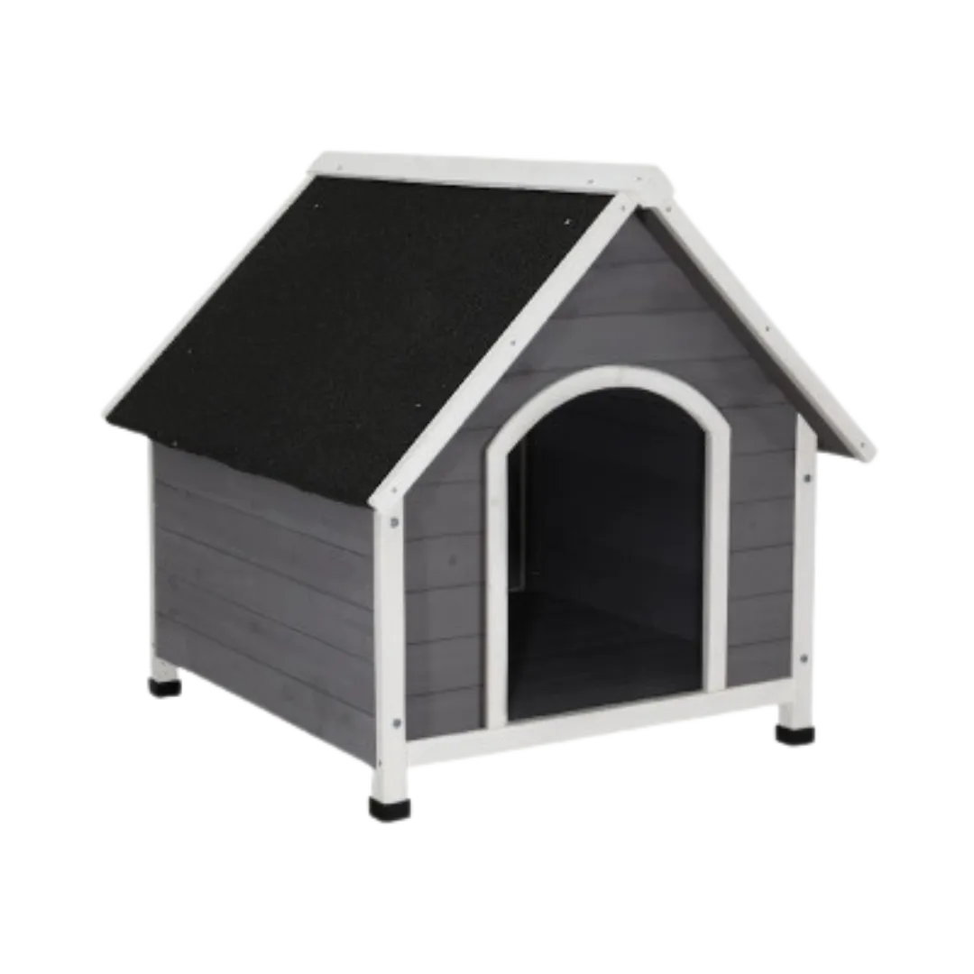 dog home