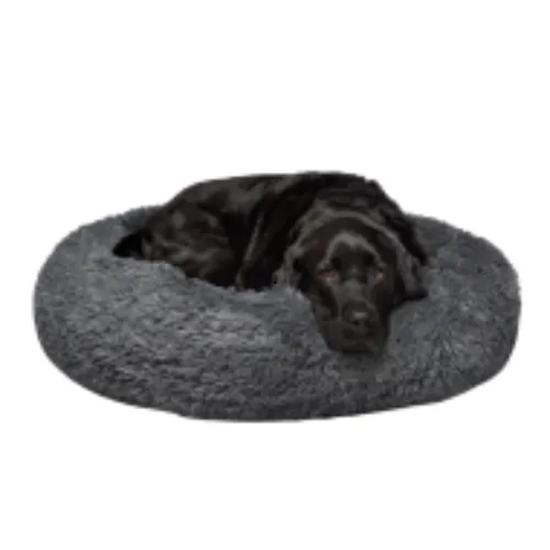 dog bed
