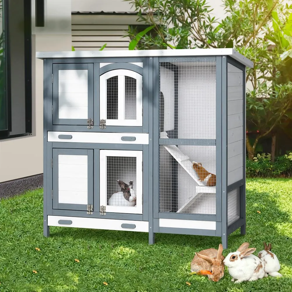 Pet Palace