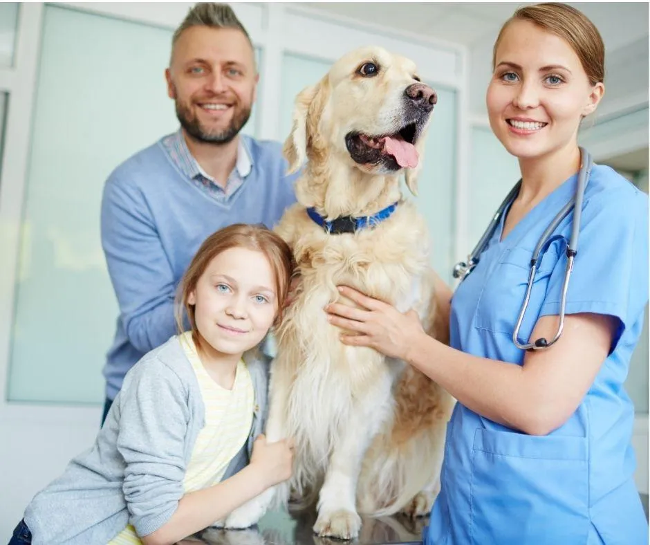 Vet