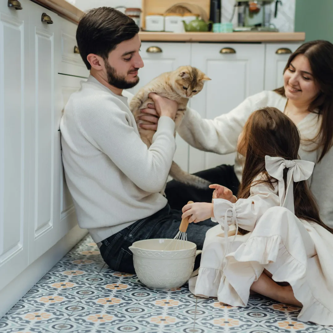 Pet Accessories