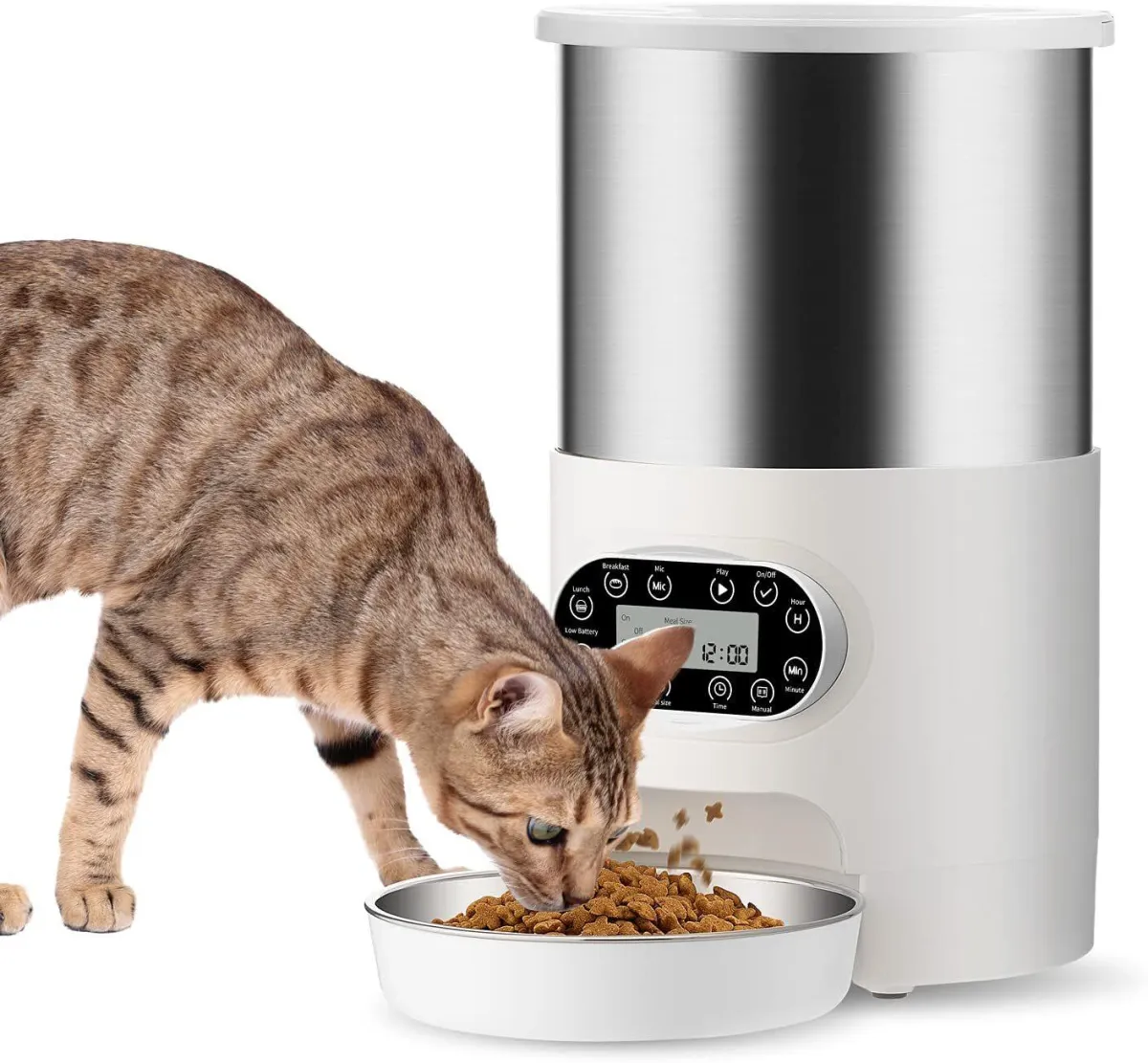 Auto Cat Feeder
