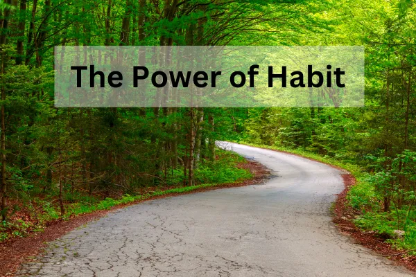 The Power of Habit