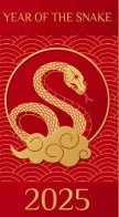year of the snake 2025