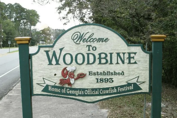 Health Insurance in Woodbine, GA