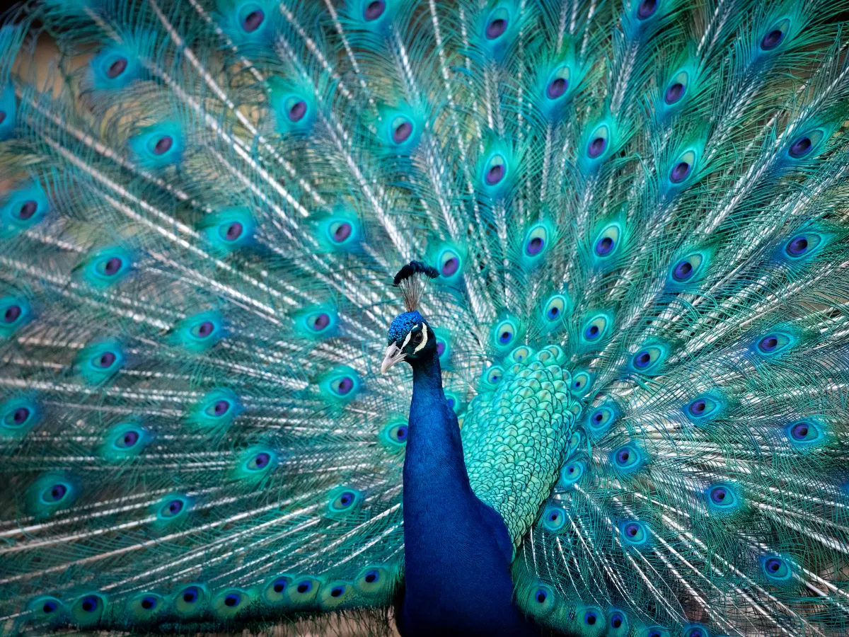 Pride: The Glue That Keeps Your Problems Stuck to You