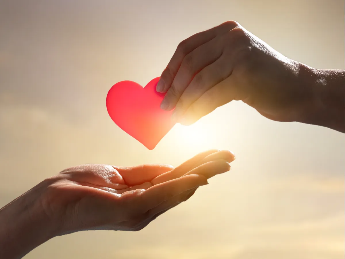 Fixing Love's Plotholes: Because Cupid's Aim Isn't Always All That Great