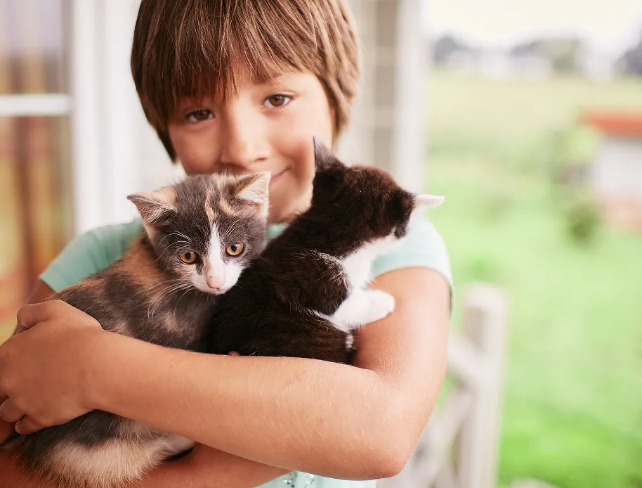 Adopting a Shelter Cat image