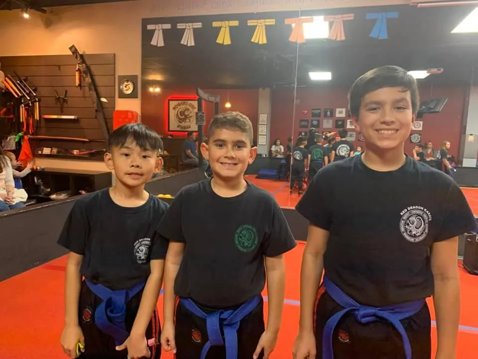 Blue Belt Videos