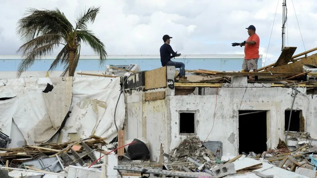 ¿Estás planeando una demolición, renovación o construcción?