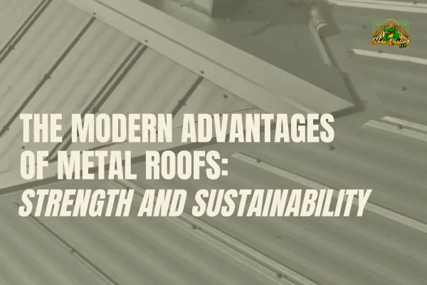 metal roofing Florida, roof replacement, hurricane roof