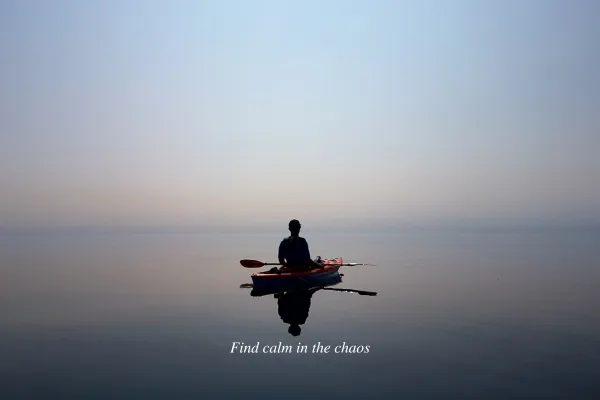 Calm in the Chaos