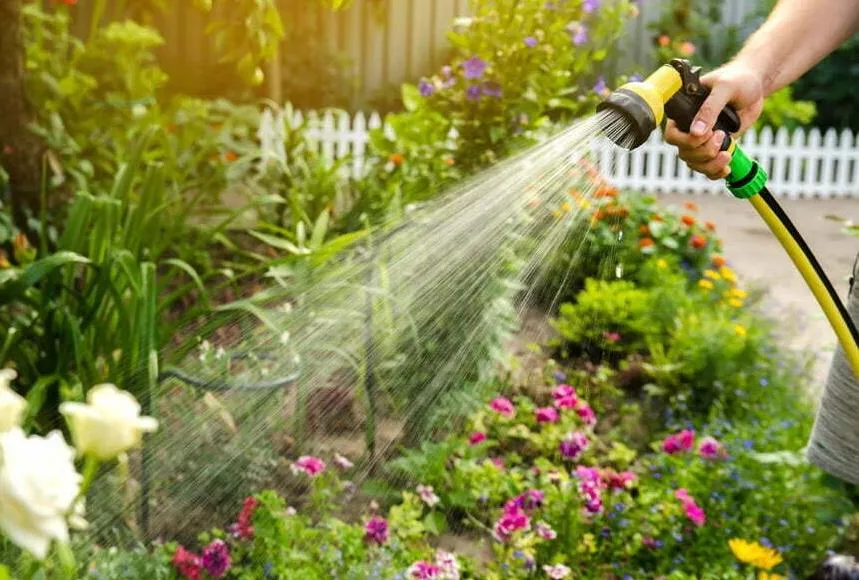 5 Easy Tips for a Thriving Garden