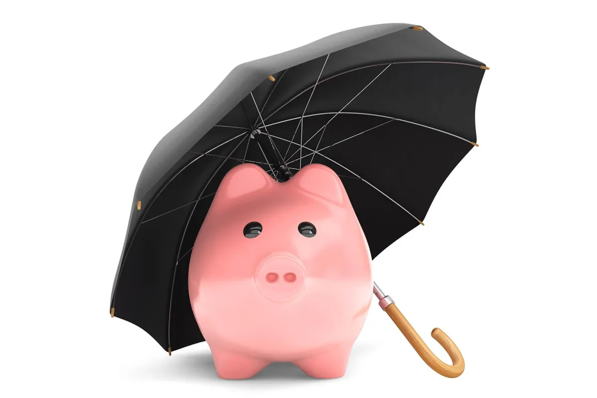Mitigating Your Risk And Protecting Your Investment
