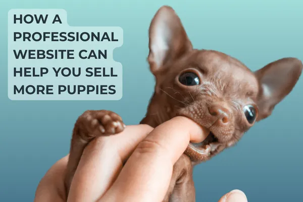 Close-up of a small brown puppy playfully nibbling a person's finger with text overlay: How a Professional Website Can Help You Sell More Puppies