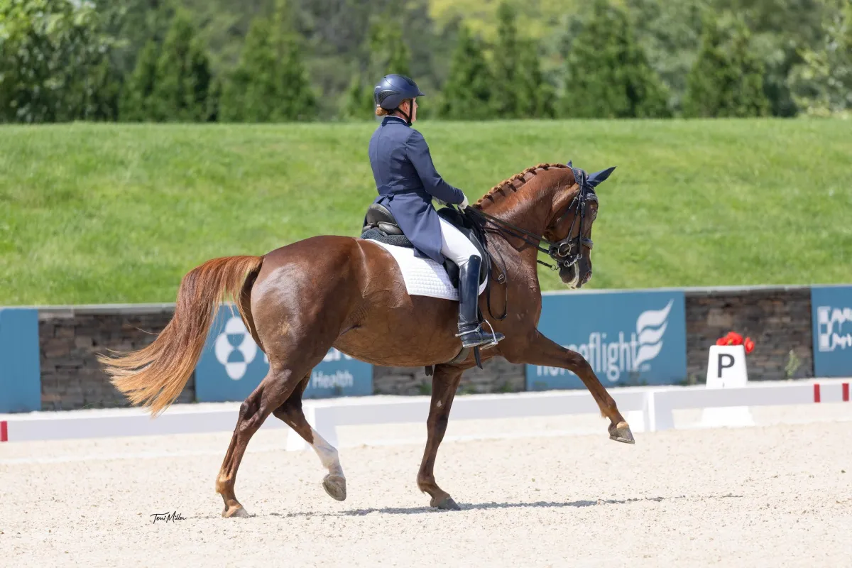 Why Every Dressage Rider Needs an Equestrian Mindset Coach