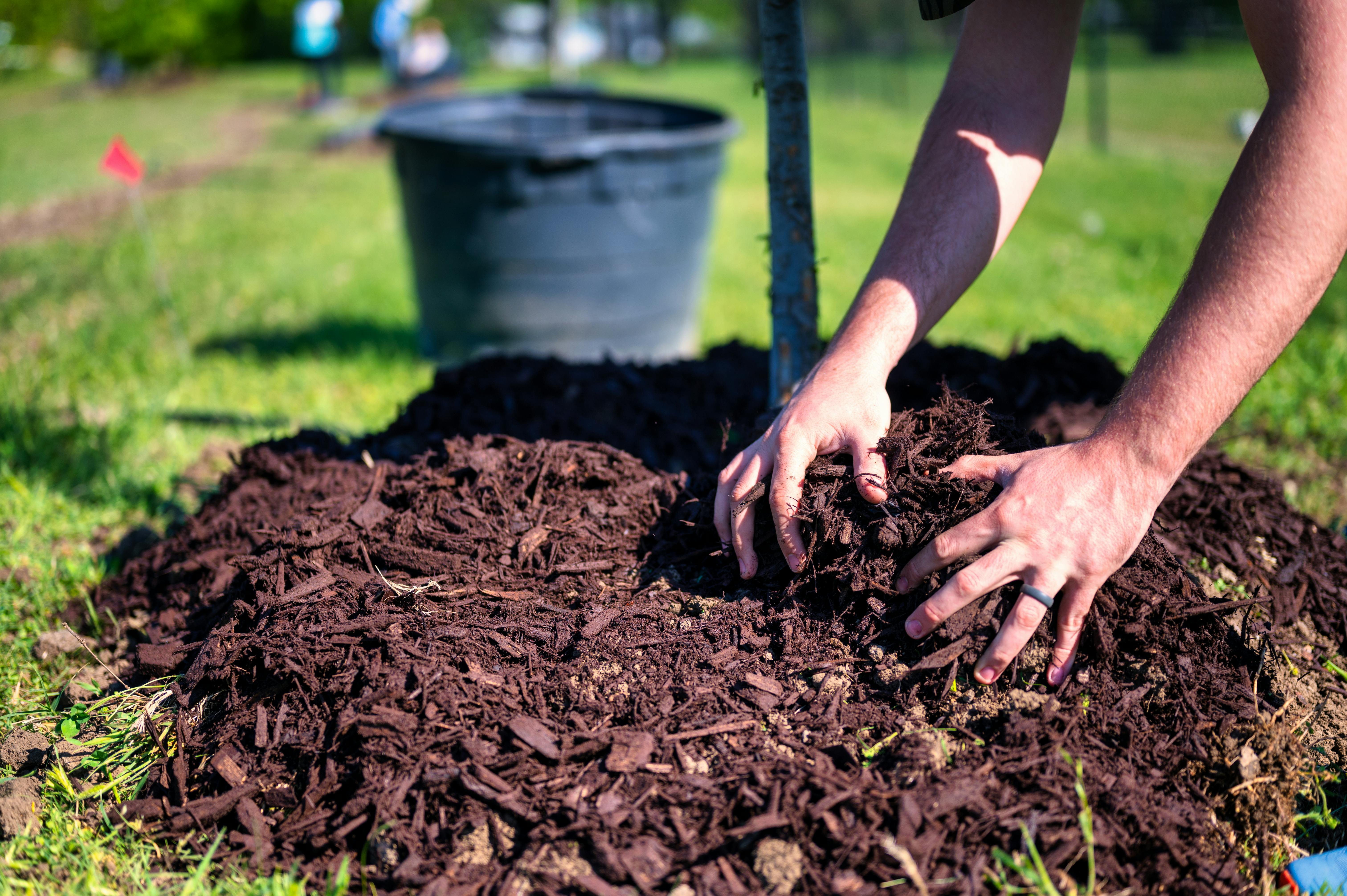 compost