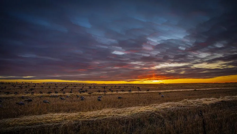 Scenery Saskatchewan