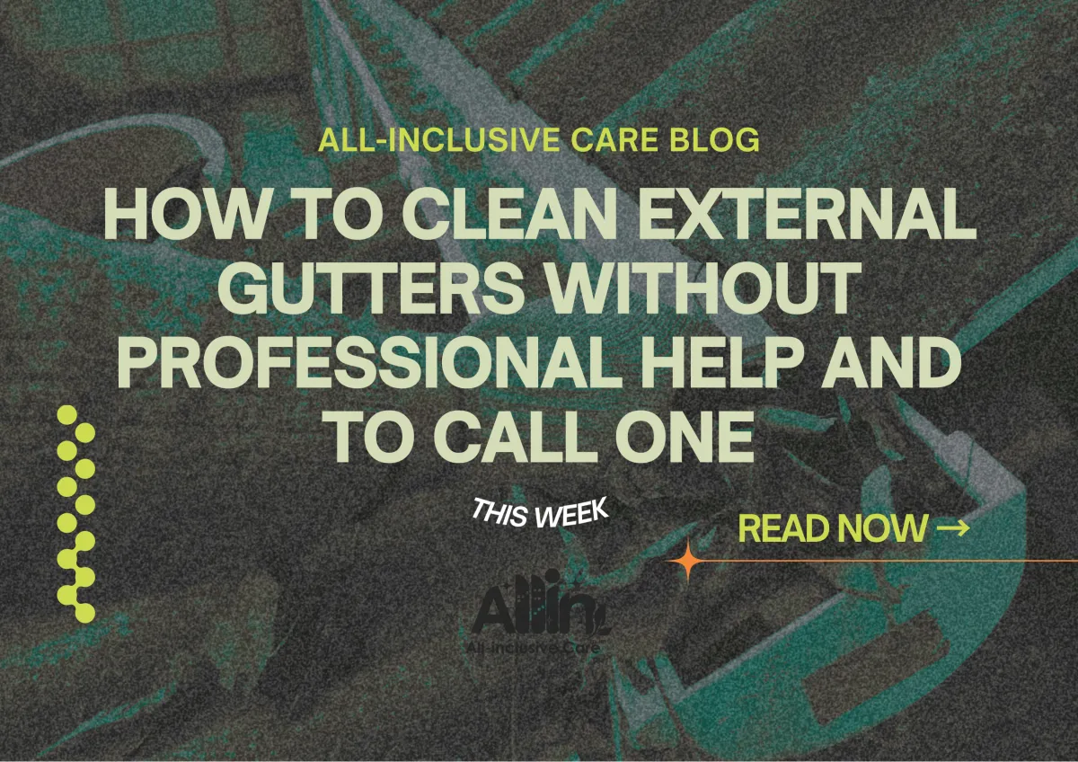How to Clean External Gutters Without Professional Help and When to Call One