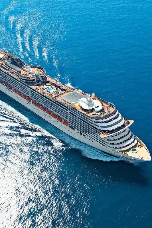 cruise