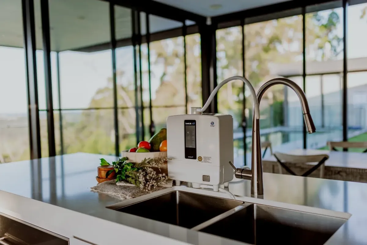 kangen water machine in kitchen