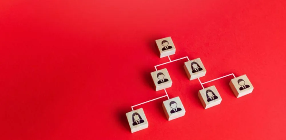 Why Delegation is the Most Underrated Skill in Business 