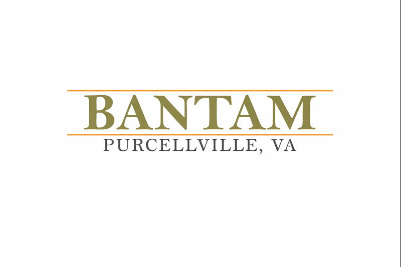 Bantam CrossFit Purcellville gym training for CrossFit Open preparation