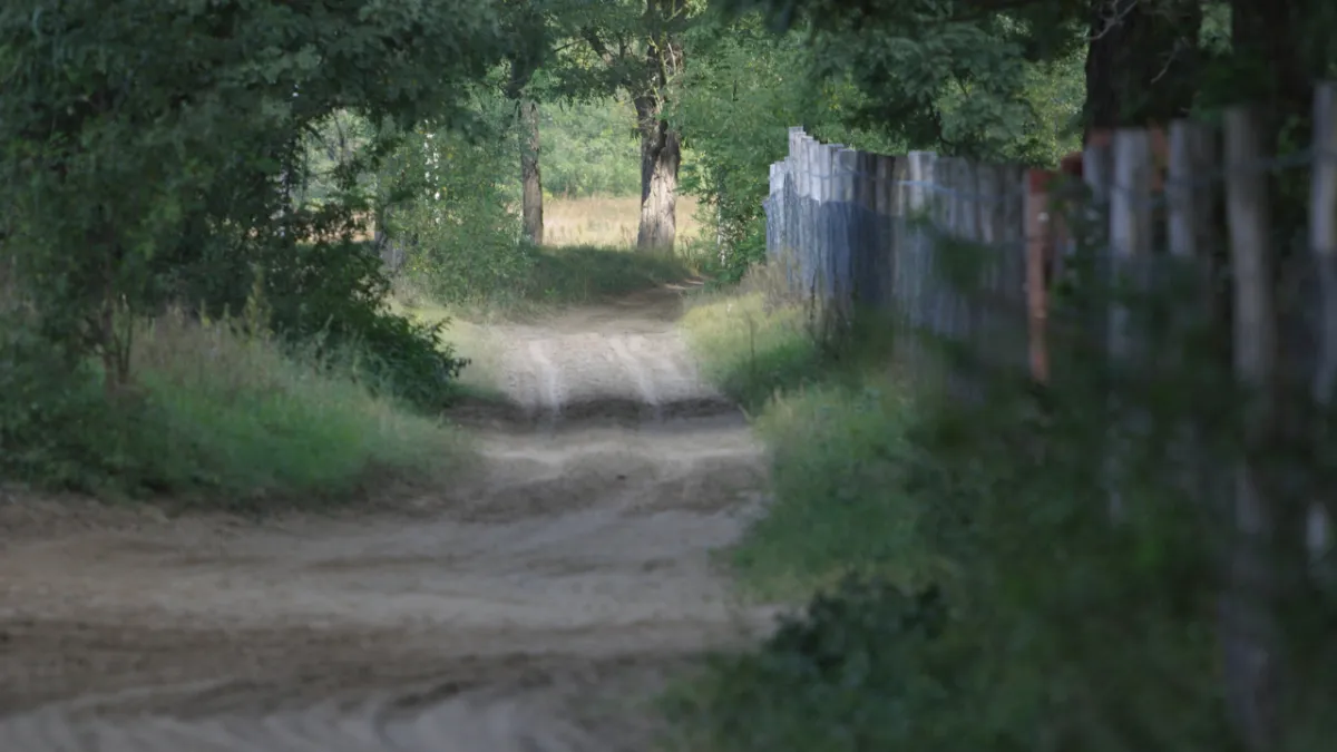 The Evolution of Your Desire