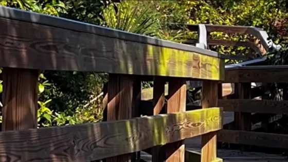 wooden bridge