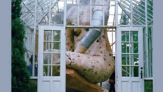 woman trapped in glass