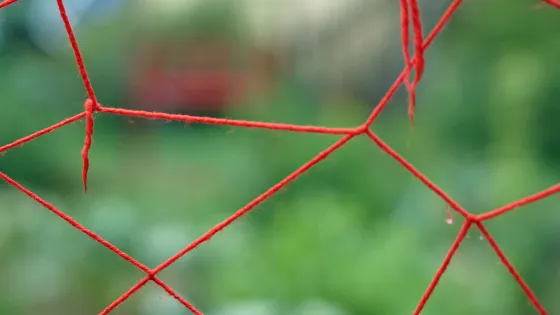 String Net