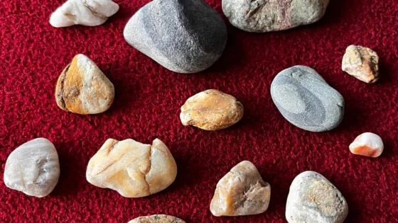 Variety of Beach Rocks