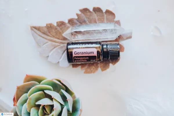 doTERRA Geranium essential oil bottle placed on a dried leaf with clear quartz crystals and a succulent, symbolising grounding, balance, and emotional healing.