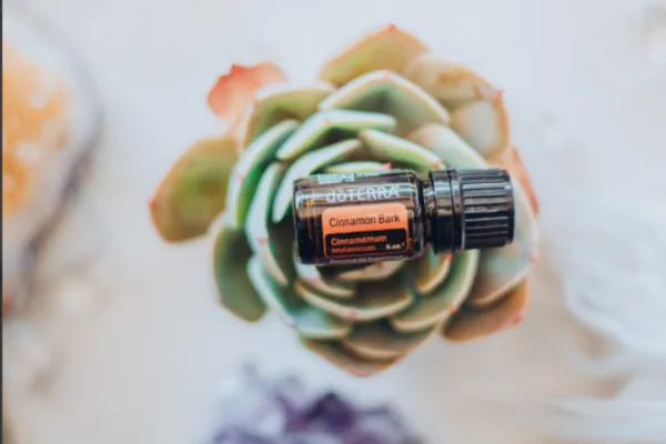 🔥 Cinnamon for Abundance, Activation & Soul Power