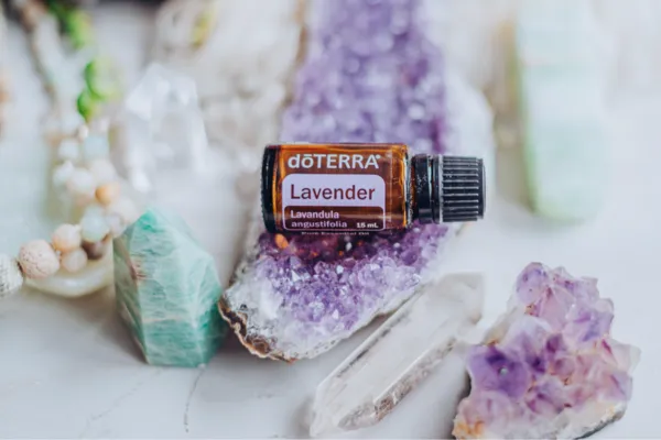A bottle of doTERRA Lavender essential oil resting on a purple amethyst cluster, surrounded by clear quartz, amazonite, and sacred crystals—evoking calm, clarity, and emotional healing.