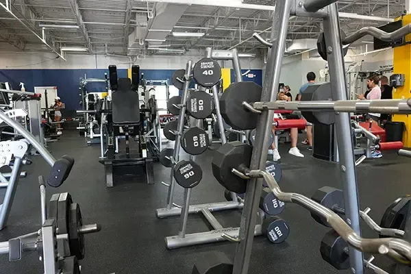 Weights at The New Boca Raton Fitness Center