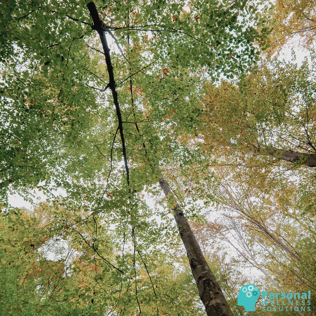 Mindfulness Beyond Meditation