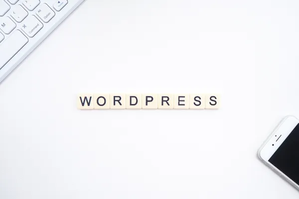 7 Key WordPress Plugins Every New Blogger Should Install